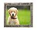 BarnwoodUSA Rustic Reclaimed Wood Standard 11 by 14 Inch Picture Frames 1¼ Inch Wide