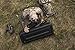 Plano All-Weather II Scoped Rifle/Shotgun Case, AW2 Gun Case