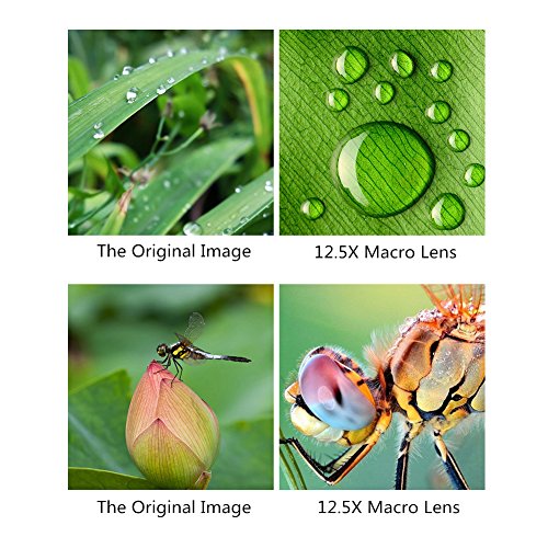 Phone Camera Lens, 2 in 1 Clip-On Lens Kit 0.45X Super Wide Angle Lens & 12.5X Macro Lens for iPhone, Samsung, Android and Other Smartphones (Black)