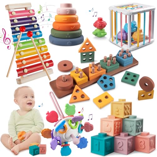 Montessori Baby Toys for 1+ Year Old Sorting Stacking Learning Toys 6