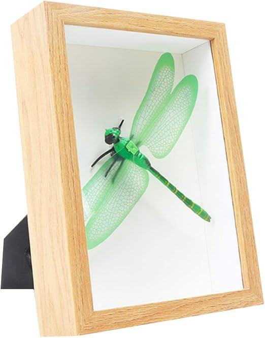 Amazon Com Justdolife 7in Creative Decorative Wood Display