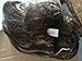 A Labs Rockstar Costume Wig - Heavy Metal - #1Quality 80s Rocker Wig