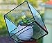 Modern Clear Glass Geometric Terrarium Succulent Plant Display Box, Decorative Votive Candle Holder