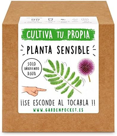 Garden Pocket - Kit Cultivo Planta Sensible: Amazon.es: Jardín