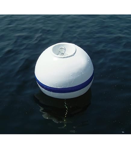 Amazon.com : Taylor Made Sur-Moor Mooring Buoy, White 24