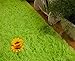 Soft Modern ShagGreen Area Rugs Fluffy Living Room Carpet Comfy Bedroom Home Decorate Floor Kids Playing Mat
