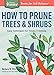 How to Prune Trees & Shrubs: Easy Techniques for Timely Trimming. A Storey BASICS® Title