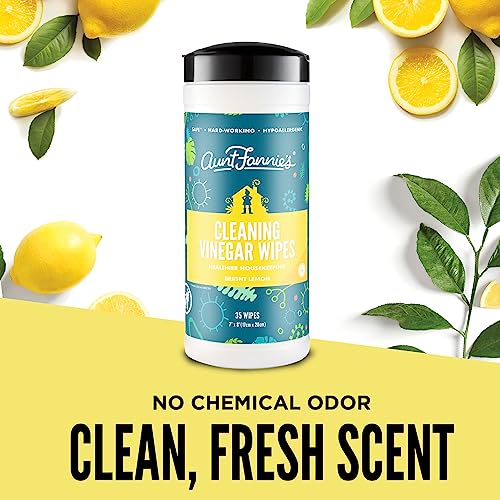 Aunt Fannie's Natural Cleaning Vinegar Wipes, Multipurpose Surface