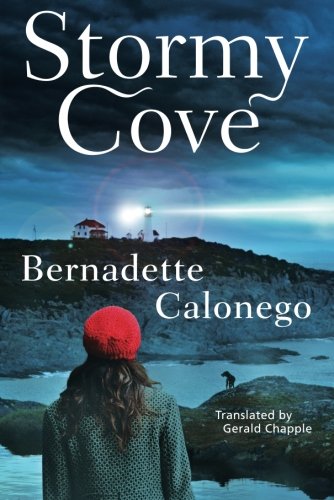 Stormy Cove