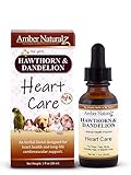 Amber Technology Hawthorn and Dandelion, 1 oz