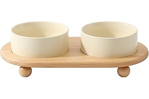 Havniva Ceramic Elevated Cat Food and Water Bowl, Kitty Bowl, Raised Cat Dish, Pet Feeder (5.1 in, 2 x Beige + Stand)