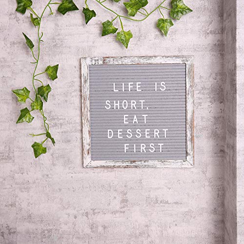 6 AlexBasic+Letter+Changeable+Pre+Cut+Letters