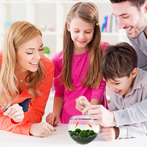 3 Luffy+First+Plant+Nano+Marimo