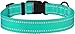 CollarDirect Reflective Dog Collar for a Small, Medium, Large Dog or Puppy with a Quick Release Buckle - Boy and Girl - Nylon Suitable for Swimming (10-13 Inch, Mint Green)