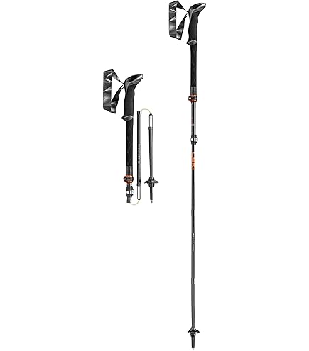 LEKIストック vertical haute route2 110～150cm LEKIストック vertical haute route2 110～150cm Leki Haute