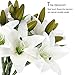RERXN Artificial Tiger Lily Latex Real Touch Flower Home Wedding Party Decor,Pack of 5 (White)