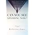 Can You See Anything Now?: A Novel (Paraclete Fiction)