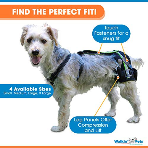 Walkin-Hip-EEZ-Dog-Hip-Brace-Support-Harness-System-Provides-Joint-Support-for-Dogs-with-Hip-Dysplasia-and-Other-Conditions-Affecting-The-Hip-Joint