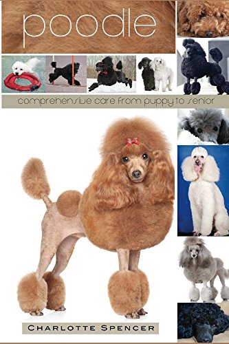 [Review sách] Poodle Comprehensive Care from Puppy to Senior | Mua sách ...