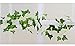 Darice Ivy Green, Flocked, 6 Feet Garland