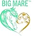 Big Mare Dog Medicated Shampoo & Body Wash | Soothing, Anti-Itch, Treats Canine Dermatitis, Hair Loss & More | Veterinary Approved & Recommended Non-Sting Formula 8oz
