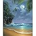 Katosca DIY Paint by Numbers for Adults Kids Seascape Paint by Numbers DIY Painting Acrylic Paint by Numbers Painting Kit Home Wall Living Room Bedroom Decoration Seaside Moon Beach(Moon Beach)