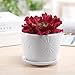 MyGift White Ceramic Small Plant Pot with Drainage Hole and Decorative Sunburst Design, 5 Inch Round Succulent Planters with Attached Saucers, Set of 2