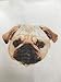 GERINLY Cute Pugs Pattern Oblong Scarf Soft Cotton Lighweight Women Wrap Scarfs (Yellow Beige)