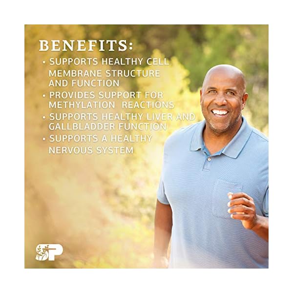 Standard Process Choline Liver Support, Gallbladder Support, and
