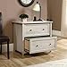 Sauder Edge Water 2 Drawer Lateral Filing Cabinet, Office File Cabinet, in Chalked Chestnut