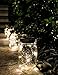 6 Pack -Solar Mason Jar Insert Lids - LED Mason Jar string light for Glass Mason Jars - Solar Pathway Garden Lights for all occasion parties -Jar Hangers Included Qty -6