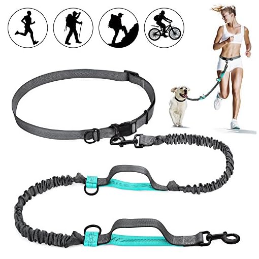 retractable dog leash waist belt