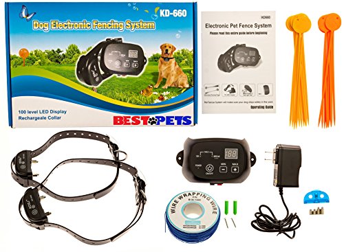 yard perimeter shock collar