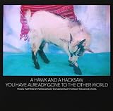 YOU HAVE ALREADY GONE TO THE OTHER WORLD           image