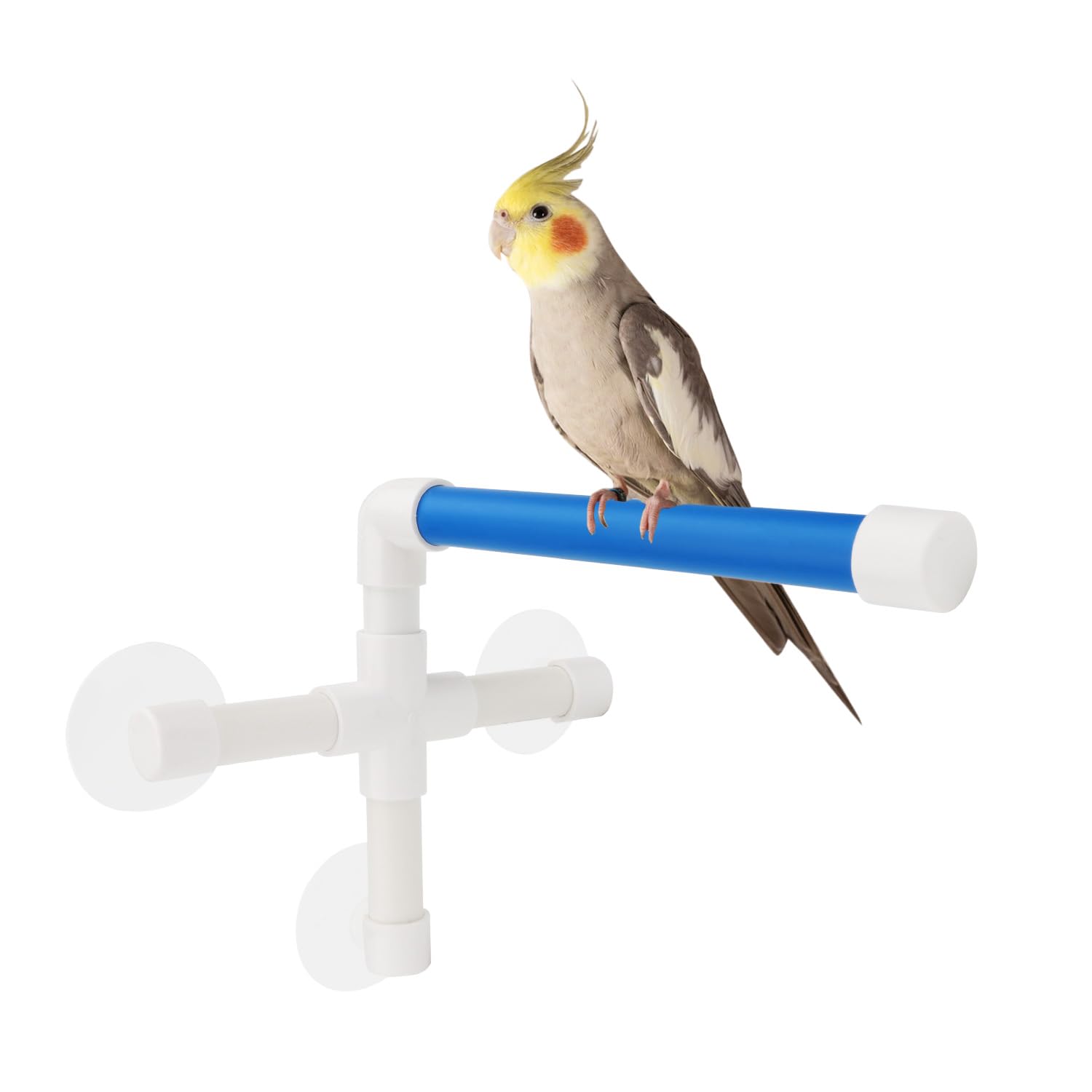 Pet Parrot Bath Perches Standing Platform Rack Suction Cup Window Shower Bird Bath Toys