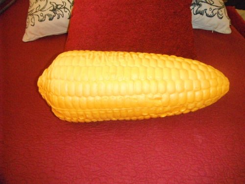 Cheesehead Corncob Hat Nebraska Cornhusker + Iowa Hawkeye