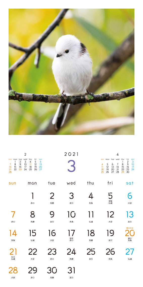 Amazon Co Jp もふもふふわふわシマエナガ カレンダー 21 翔泳社カレンダー 吉永 勝啓 本