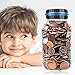 Winnsty Coin Piggy Bank Counter LCD Counting Coin Money Bank Toys Gifts (Blue)