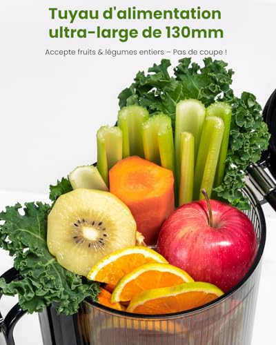 LINKChef Slow Cold Juicer Extractor, Opening 130 mm, Fruit and Vegetable Juice Extractor, Capacity 1.8 L, 250 W Slow Juicer Machine with Reverse Function, Easy to Clean, BPA Free