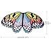 D.Q.Z Kids Monarch Butterfly Wings Costume for Littles Girls Dress Up Clothes, Butterfly Kit Bug Toys for Birthday Gifts Idea (Rainbow)