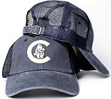Chicago Cubs MLB American Needle Raglan Bones Soft Mesh Back Slouch Twill Cap Navy