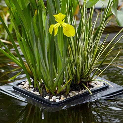 Floating Pond Plant Raft, Green - Image 3