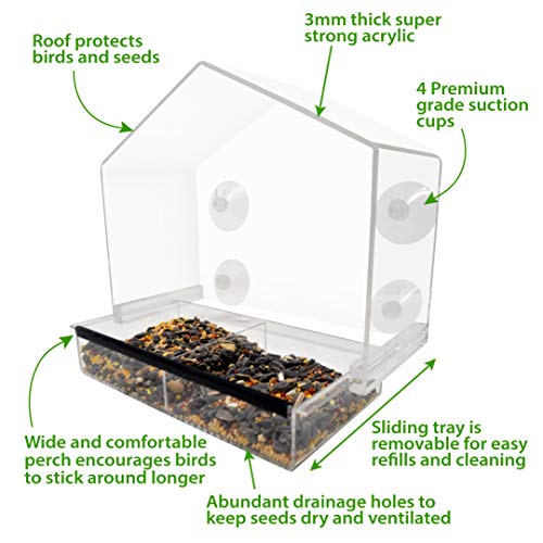 1 Gray+Bunny+GB+6902+Birdfeeder+Transparent