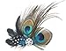 TOBATOBA Cute Peacock Feather Hair Clip