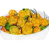 30 Scotch Bonnet Yellow Jamaican Super Hot Pepper Seeds Heirloom Non-GMO | Spicy and Fragrant, From USA, Capsicum chinense