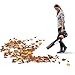 WORX WG546.9 TURBINE 20V PowerShare 2-Speed Cordless Battery-Powered Leaf Blower (Tool Only)