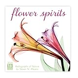 Flower Spirits 2016 Wall Calendar by 