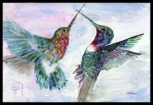 Caroline's Treasures 8968MAT Hummingbird Combat Doormat 18x27 Front Door Mat Indoor Outdoor Rugs for Entryway, Non Slip Washable Low Pile, 18H X 27W