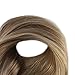 Full Shine Clip in Hair Extensions Balayage Hair Extensions Clip in Human Hair Balayage Golden Brown to Dirty Blonde Straight Hair Clip in Extensions Double Weft 7 Pcs 14 Inch