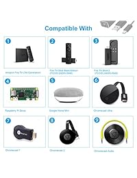 LANMU Ethernet Adapter for TV Stick (2nd Gen),Chromecast Ultra   2 1   Audio, Google Home Mini,Micro USB to RJ45 Ethernet Adapter with USB Power Supply Cable